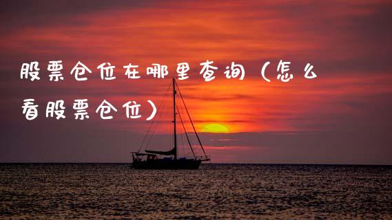 股票仓位在哪里查询（怎么看股票仓位）_https://www.gzqbddp.com_技术分析_第1张