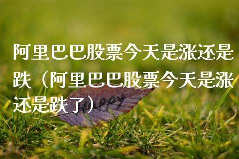 阿里巴巴股票今天是涨还是跌（阿里巴巴股票今天是涨还是跌了）_https://www.gzqbddp.com_股票知识_第1张