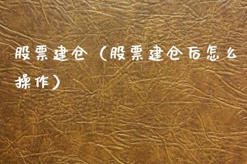 股票建仓（股票建仓后怎么操作）_https://www.gzqbddp.com_技术分析_第1张