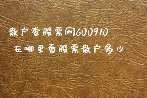 散户查股票网600910 在哪里看股票散户多少_https://www.gzqbddp.com_选股技巧_第1张