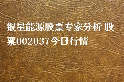银星能源股票专家分析 股票002037今日行情_https://www.gzqbddp.com_炒股经验_第1张