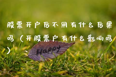 股票开户后不用有什么后果吗（开股票户有什么影响吗）_https://www.gzqbddp.com_选股技巧_第1张