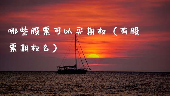 哪些股票可以买期权（有股票期权么）_https://www.gzqbddp.com_选股技巧_第1张