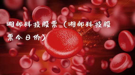 湘邮科技股票（湘邮科技股票今日价）_https://www.gzqbddp.com_技术分析_第1张