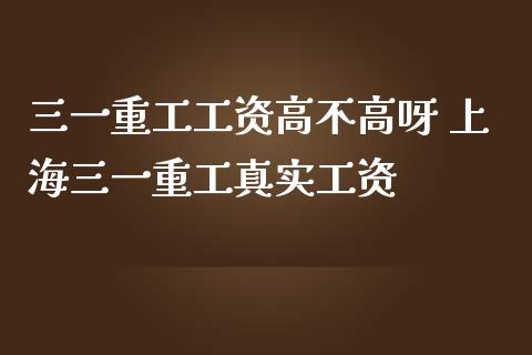 三一重工工资高不高呀 上海三一重工真实工资_https://www.gzqbddp.com_炒股经验_第1张