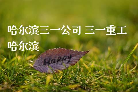 哈尔滨三一公司 三一重工哈尔滨_https://www.gzqbddp.com_选股技巧_第1张