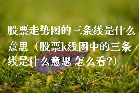 股票走势图的三条线是什么意思（股票k线图中的三条线是什么意思 怎么看?）_https://www.gzqbddp.com_炒股经验_第1张