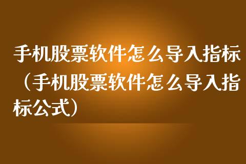 手机股票软件怎么导入指标（手机股票软件怎么导入指标公式）_https://www.gzqbddp.com_炒股经验_第1张