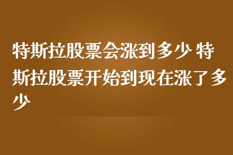特斯拉股票会涨到多少 特斯拉股票开始到现在涨了多少_https://www.gzqbddp.com_选股技巧_第1张