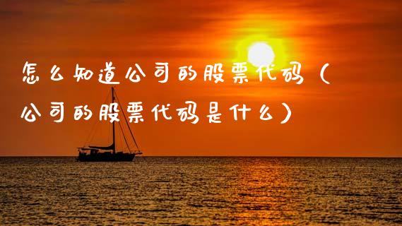 怎么知道公司的股票代码（公司的股票代码是什么）_https://www.gzqbddp.com_炒股经验_第1张