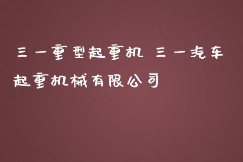 三一重型起重机 三一汽车起重机械有限公司_https://www.gzqbddp.com_技术分析_第1张