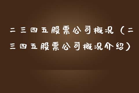 二三四五股票公司概况（二三四五股票公司概况介绍）_https://www.gzqbddp.com_炒股经验_第1张