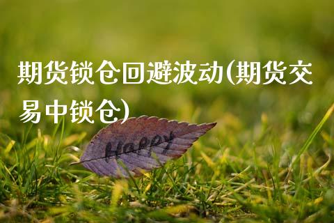期货锁仓回避波动(期货交易中锁仓)_https://www.gzqbddp.com_财经资讯_第1张