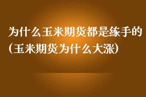 为什么玉米期货都是练手的(玉米期货为什么大涨)_https://www.gzqbddp.com_国际期货_第1张