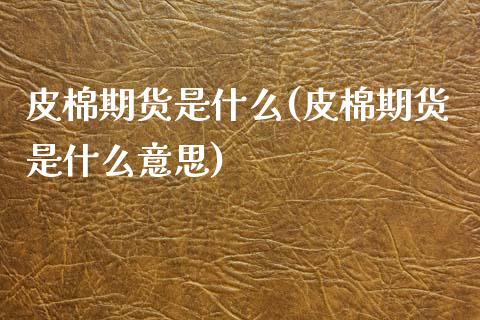 皮棉期货是什么(皮棉期货是什么意思)_https://www.gzqbddp.com_基金理财_第1张