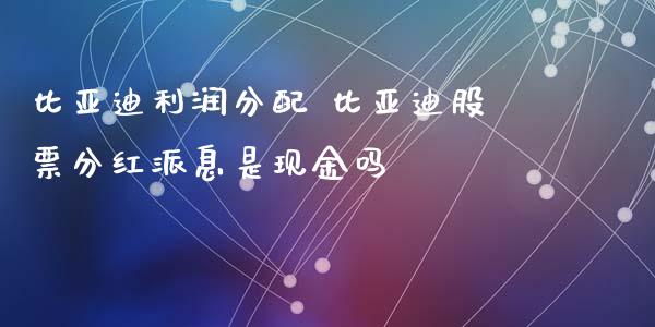 比亚迪利润分配 比亚迪股票分红派息是现金吗_https://www.gzqbddp.com_选股技巧_第1张