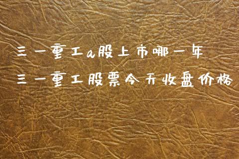 三一重工a股上市哪一年 三一重工股票今天收盘价格_https://www.gzqbddp.com_技术分析_第1张