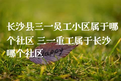 长沙县三一员工小区属于哪个社区 三一重工属于长沙哪个社区_https://www.gzqbddp.com_股票知识_第1张
