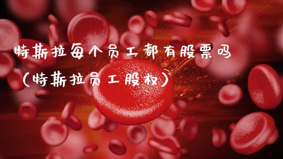 特斯拉每个员工都有股票吗（特斯拉员工股权）_https://www.gzqbddp.com_选股技巧_第1张