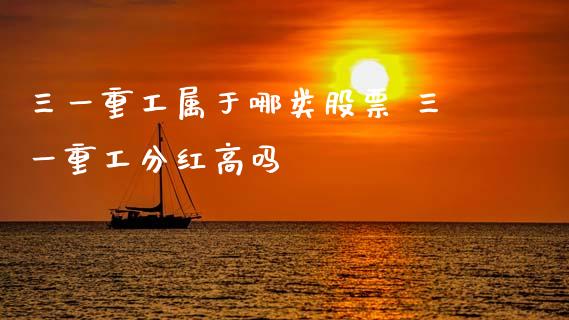 三一重工属于哪类股票 三一重工分红高吗_https://www.gzqbddp.com_炒股经验_第1张