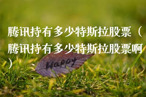 腾讯持有多少特斯拉股票（腾讯持有多少特斯拉股票啊）_https://www.gzqbddp.com_选股技巧_第1张
