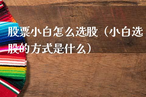 股票小白怎么选股（小白选股的方式是什么）_https://www.gzqbddp.com_选股技巧_第1张