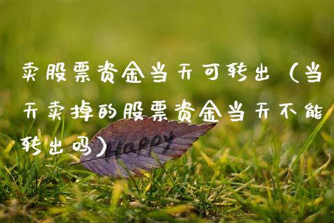 卖股票资金当天可转出（当天卖掉的股票资金当天不能转出吗）_https://www.gzqbddp.com_炒股经验_第1张