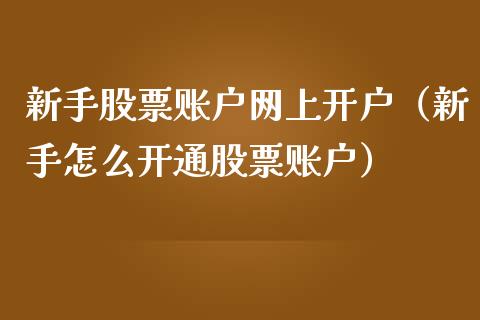 新手股票账户网上开户（新手怎么开通股票账户）_https://www.gzqbddp.com_技术分析_第1张