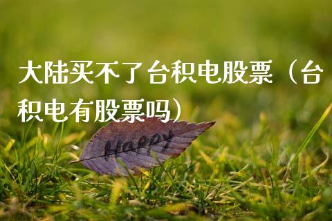 **买不了台积电股票（台积电有股票吗）_https://www.gzqbddp.com_技术分析_第1张