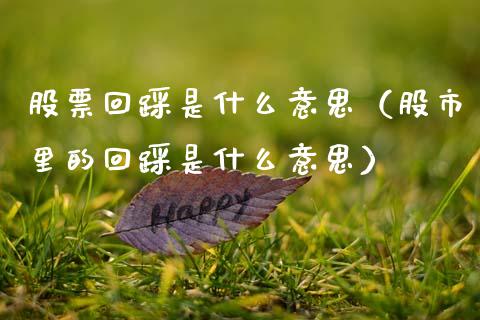 股票回踩是什么意思（股市里的回踩是什么意思）_https://www.gzqbddp.com_选股技巧_第1张
