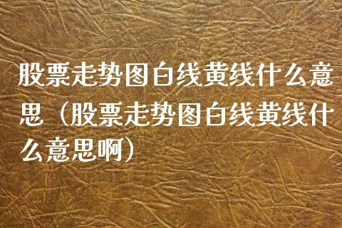 股票走势图白线黄线什么意思（股票走势图白线黄线什么意思啊）_https://www.gzqbddp.com_技术分析_第1张