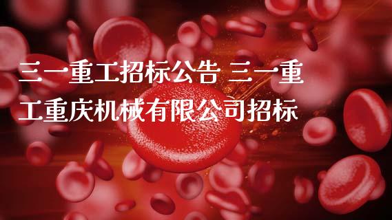 三一重工招标公告 三一重工重庆机械有限公司招标_https://www.gzqbddp.com_技术分析_第1张