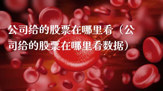 公司给的股票在哪里看（公司给的股票在哪里看数据）_https://www.gzqbddp.com_炒股经验_第1张