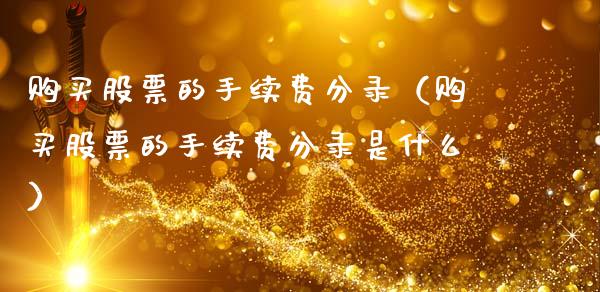 购买股票的手续费分录（购买股票的手续费分录是什么）_https://www.gzqbddp.com_选股技巧_第1张