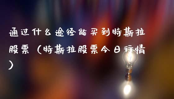 通过什么途径能买到特斯拉股票（特斯拉股票今日行情）_https://www.gzqbddp.com_炒股经验_第1张