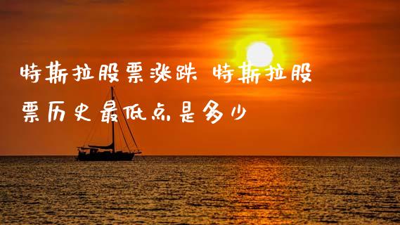 特斯拉股票涨跌 特斯拉股票历史最低点是多少_https://www.gzqbddp.com_炒股经验_第1张
