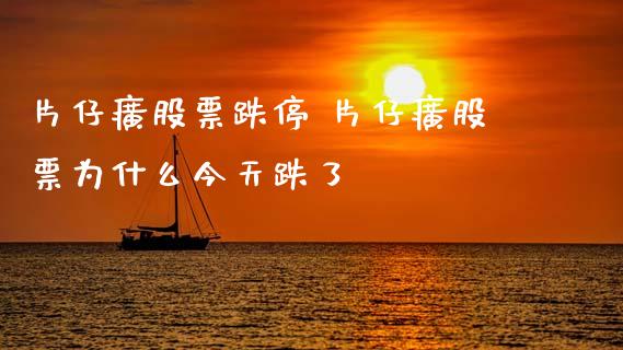 片仔癀股票跌停 片仔癀股票为什么今天跌了_https://www.gzqbddp.com_股票知识_第1张