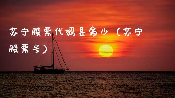苏宁股票代码是多少（苏宁股票号）_https://www.gzqbddp.com_技术分析_第1张
