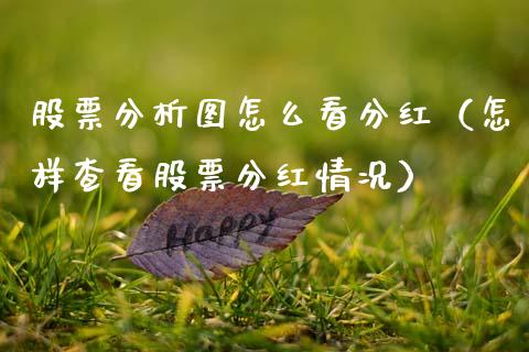 股票分析图怎么看分红（怎样查看股票分红情况）_https://www.gzqbddp.com_技术分析_第1张