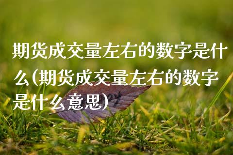 期货成交量左右的数字是什么(期货成交量左右的数字是什么意思)_https://www.gzqbddp.com_基金理财_第1张