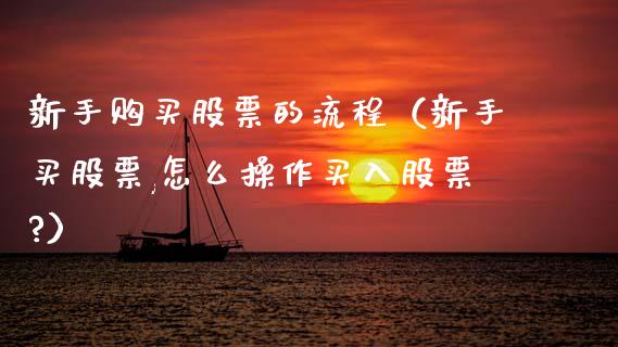 新手购买股票的流程（新手买股票,怎么操作买入股票?）_https://www.gzqbddp.com_炒股经验_第1张