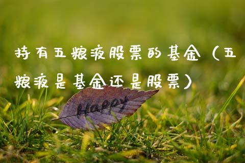 持有五粮液股票的基金（五粮液是基金还是股票）_https://www.gzqbddp.com_炒股经验_第1张