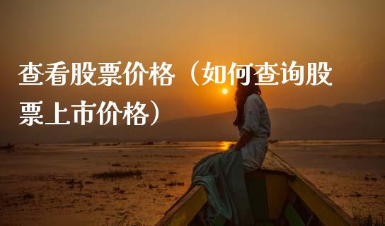 查看股票价格（如何查询股票上市价格）_https://www.gzqbddp.com_股票知识_第1张