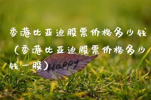 香港比亚迪股票价格多少钱（香港比亚迪股票价格多少钱一股）_https://www.gzqbddp.com_技术分析_第1张