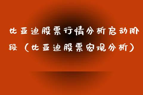 比亚迪股票行情分析启动阶段（比亚迪股票宏观分析）_https://www.gzqbddp.com_股票知识_第1张