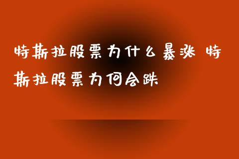 特斯拉股票为什么暴涨 特斯拉股票为何会跌_https://www.gzqbddp.com_选股技巧_第1张