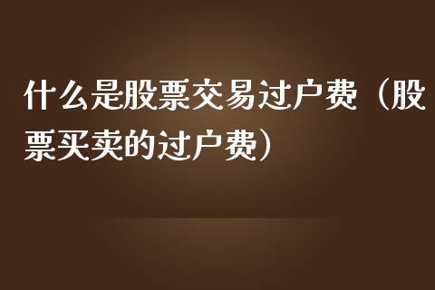 什么是股票交易过户费（股票买卖的过户费）_https://www.gzqbddp.com_股票知识_第1张