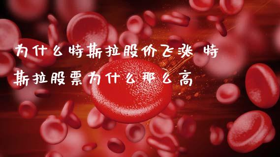 为什么特斯拉股价飞涨 特斯拉股票为什么那么高_https://www.gzqbddp.com_股票知识_第1张