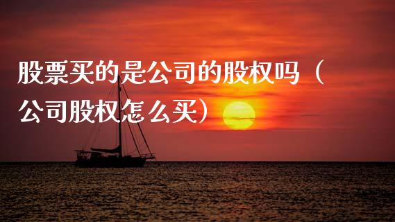股票买的是公司的股权吗（公司股权怎么买）_https://www.gzqbddp.com_选股技巧_第1张