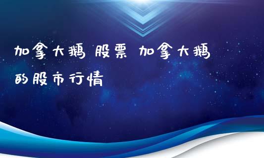 加拿大鹅 股票 加拿大鹅的股市行情_https://www.gzqbddp.com_炒股经验_第1张